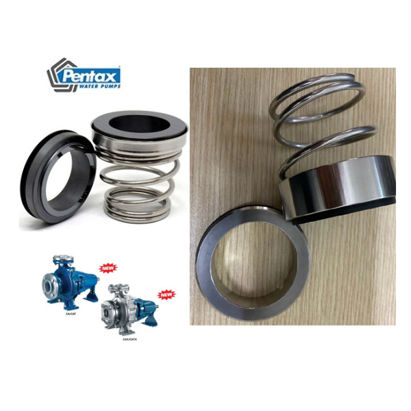 Phớt đầu bơm trục rời Pentax CA50-250A – 22.5kw